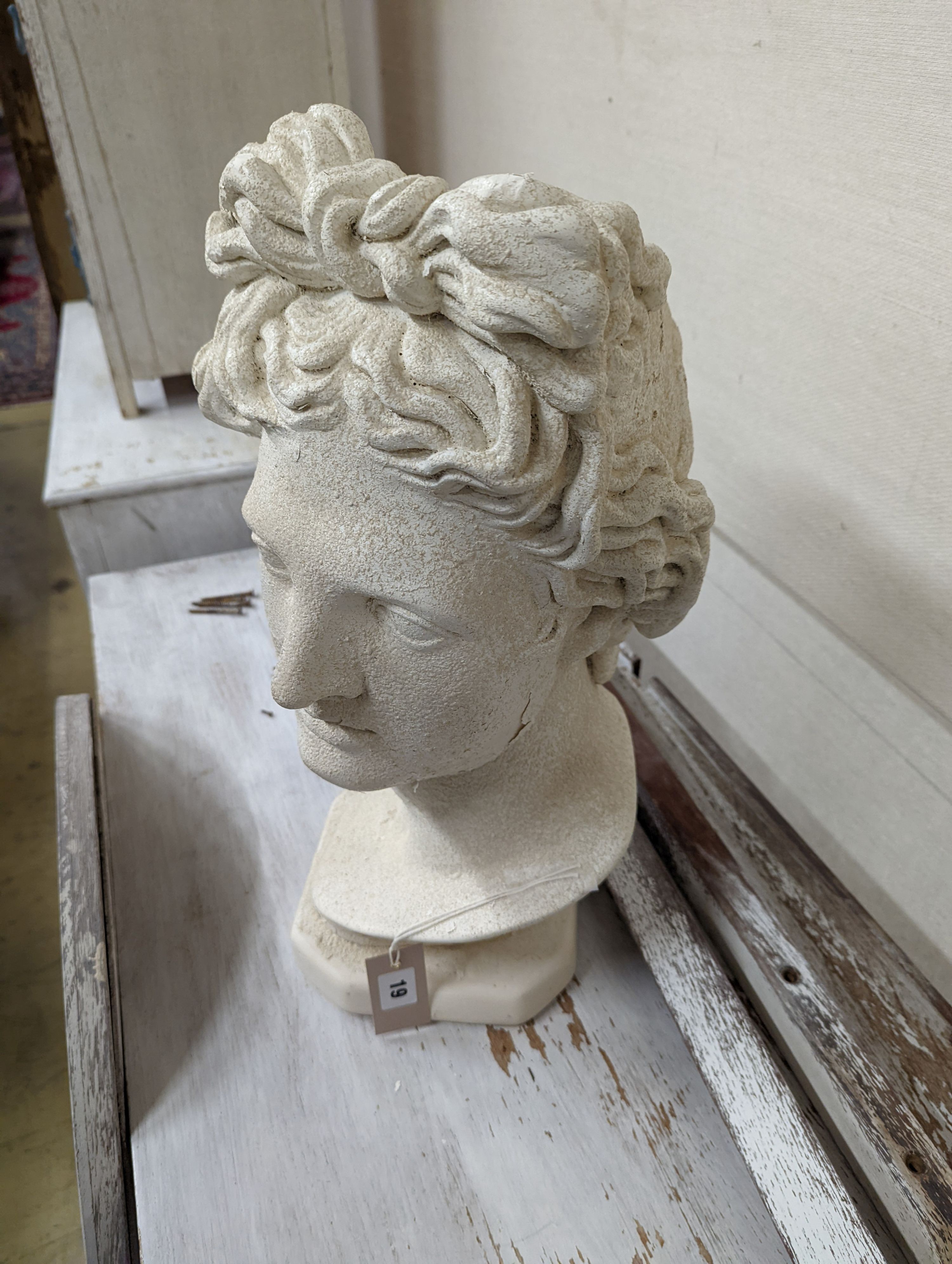 A plaster classical female bust. H-50cm.